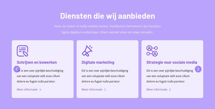 Diensten die wij aanbieden Website sjabloon