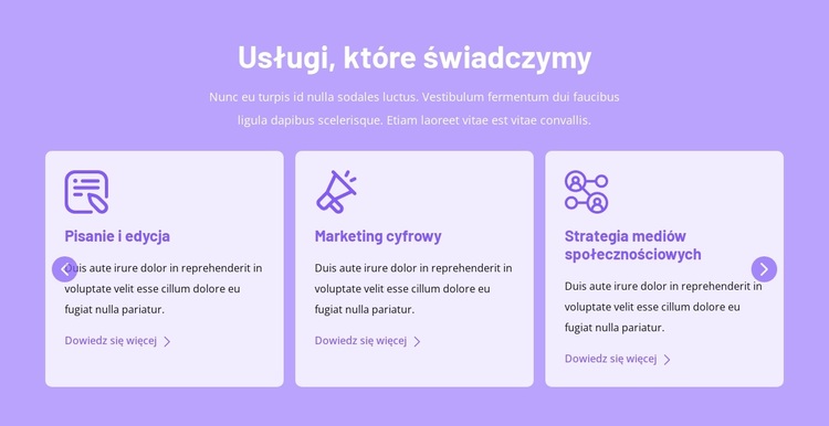 Usługi, które świadczymy Motyw WordPress