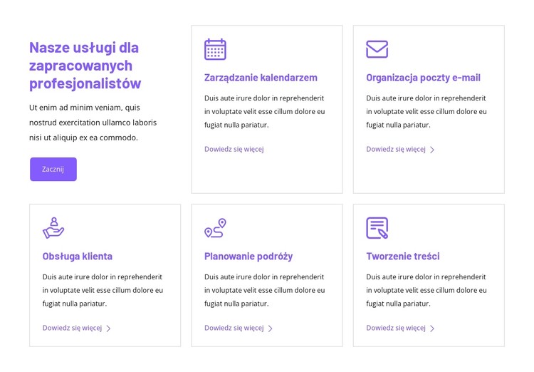 Nasze usługi dla zapracowanych profesjonalistów Szablon CSS