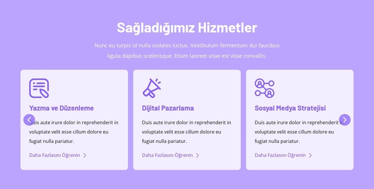 Sağladığımız hizmetler CSS Şablonu