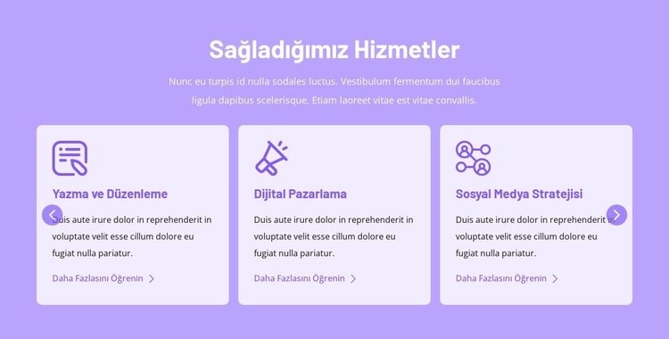 Sağladığımız hizmetler WordPress Teması