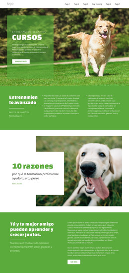 Cursos De Formación Para Mascotas: Plantilla De Página HTML