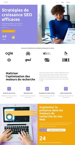 Thème WordPress Satisfaction Client Pour N'Importe Quel Appareil