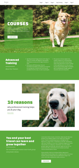 Training Courses For Pets - HTML Web Page Template