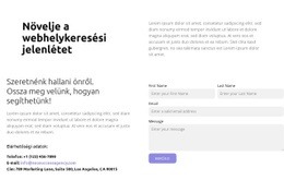 Organikus Forgalomnövekedés – Ingyenes Webhelysablon