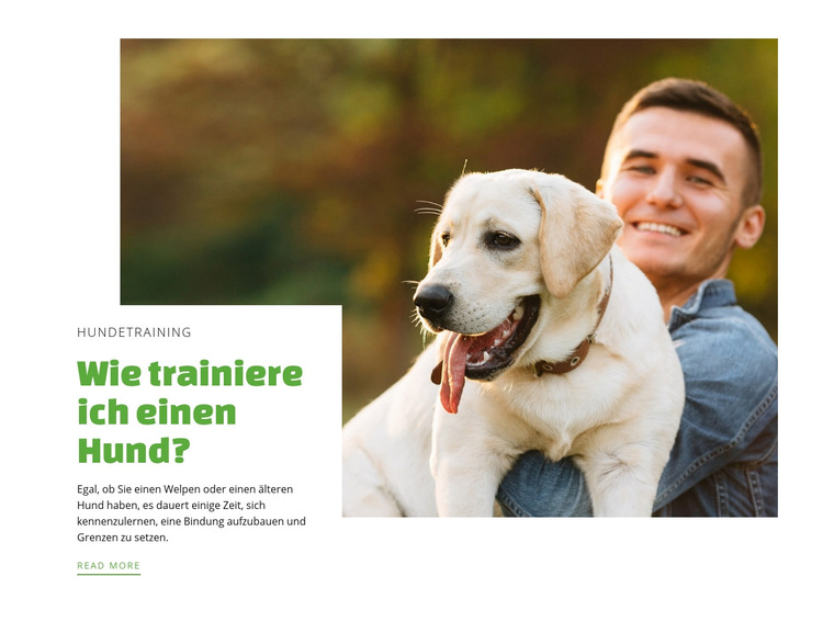 Hundetraining Club Website-Vorlage