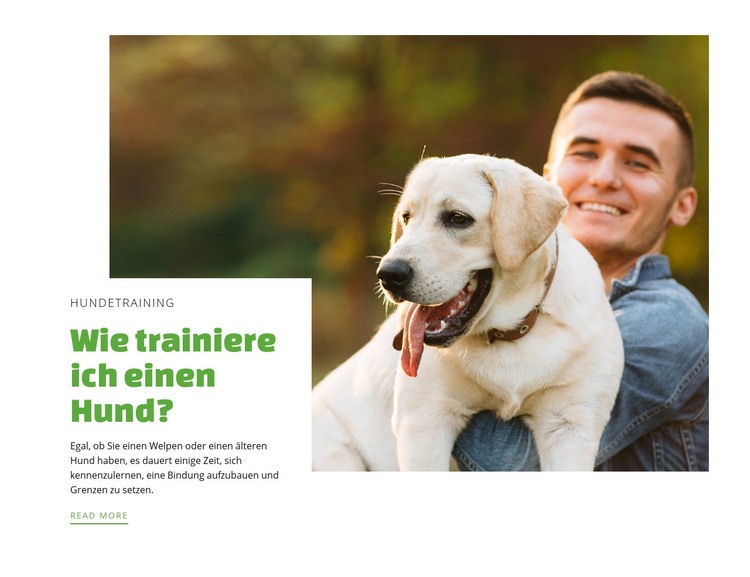 Hundetraining Club Landing Page