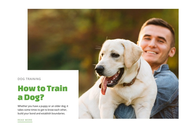 Dog training club Elementor Template Alternative