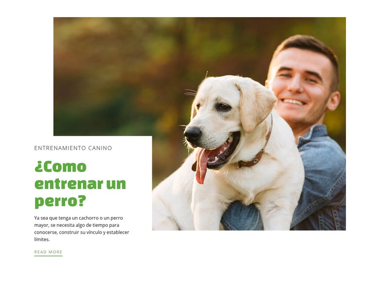 Club de adiestramiento de perros Maqueta de sitio web