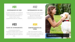 Curso Online De Comportamiento Canino Plantilla HTML