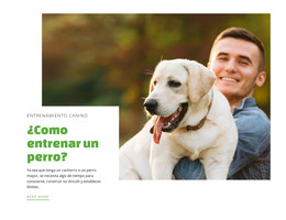 Club De Adiestramiento De Perros - Mejor Plantilla HTML