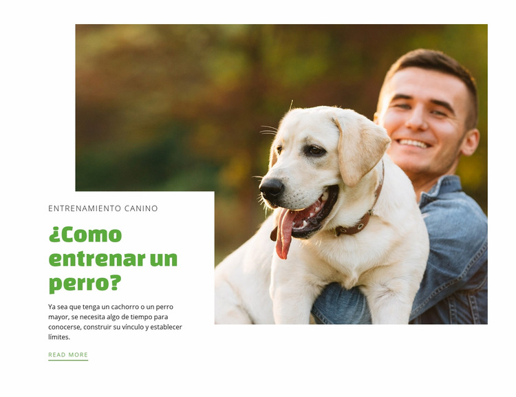 Club de adiestramiento de perros Plantilla Joomla