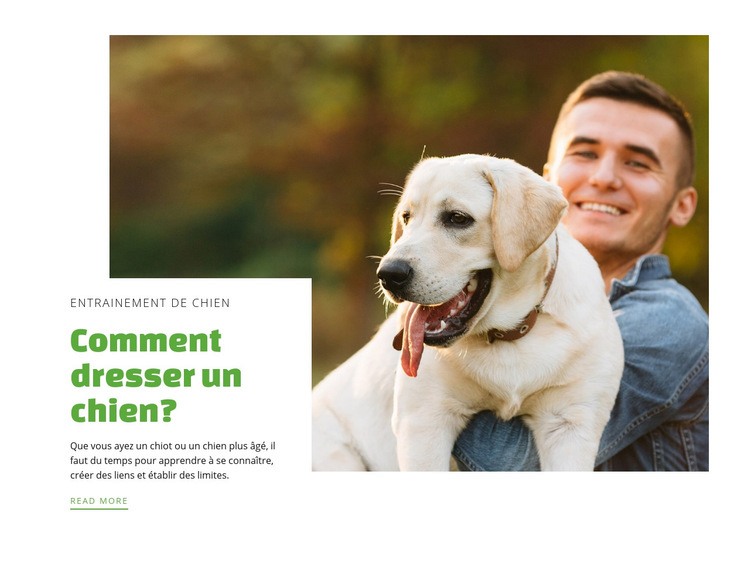 Club de dressage de chiens Conception de site Web