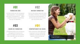 Cours En Ligne Sur Le Comportement Des Chiens - Thème WordPress Polyvalent