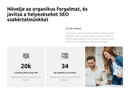 Hatékony SEO Megoldások – Ingyenes Sablon