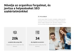 Hatékony SEO Megoldások – Webhelysablon Letöltése
