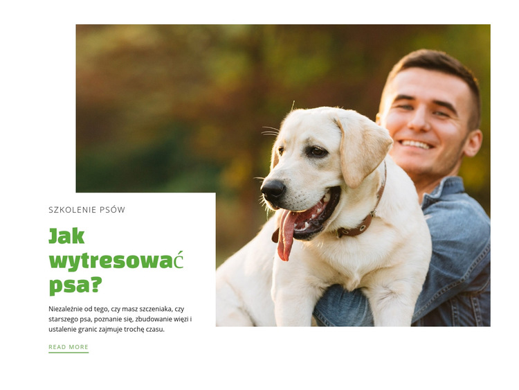 Klub szkolenia psów Szablon witryny sieci Web