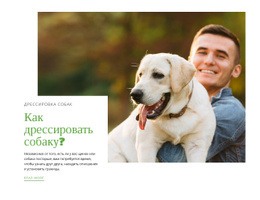 Клуб Дрессировки Собак Дизайн Сайта