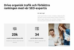 Effektiva SEO-Lösningar