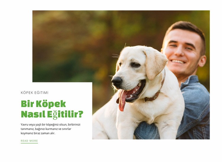 Köpek eğitim kulübü Açılış sayfası