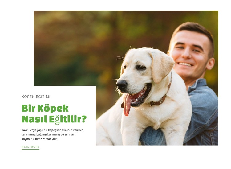 Köpek eğitim kulübü CSS Şablonu