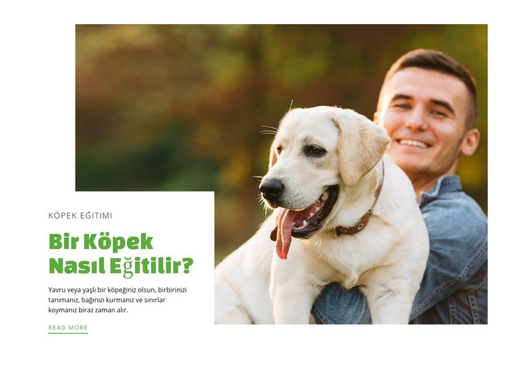 Köpek eğitim kulübü Web Sitesi Mockup'ı