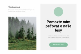 Péče O Les Šablona Mřížky CSS