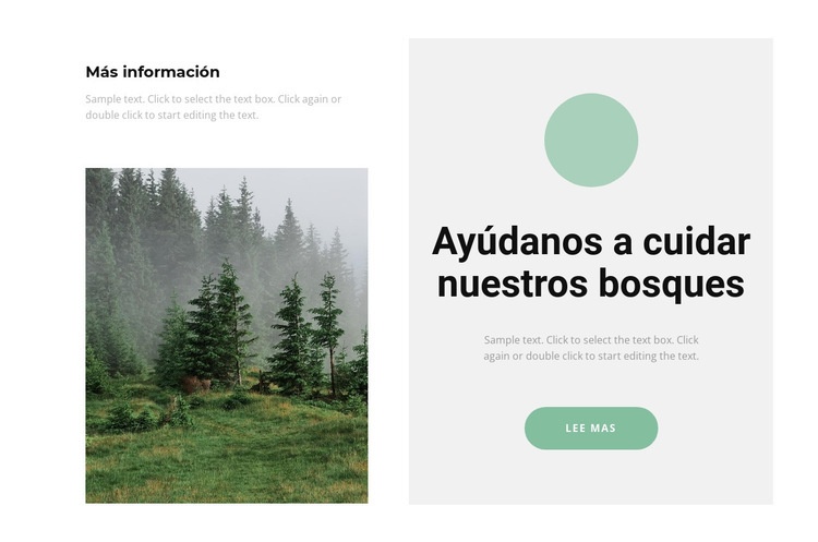 Cuida el bosque Diseño de páginas web