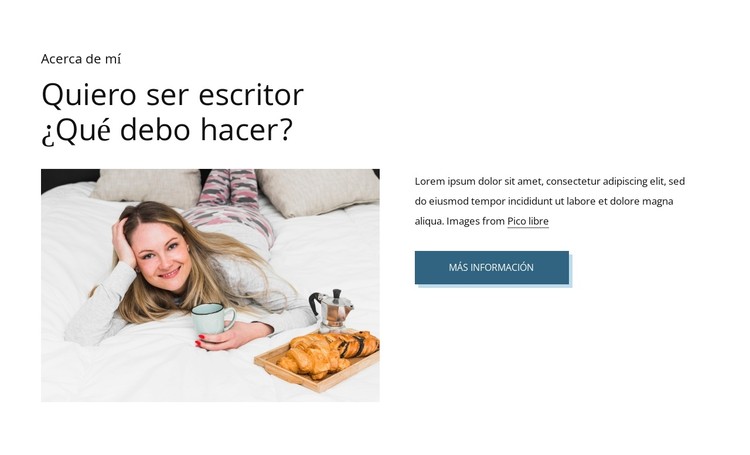 Escritor y autor Plantilla CSS