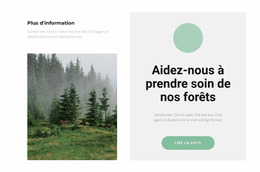 Prendre Soin De La Forêt