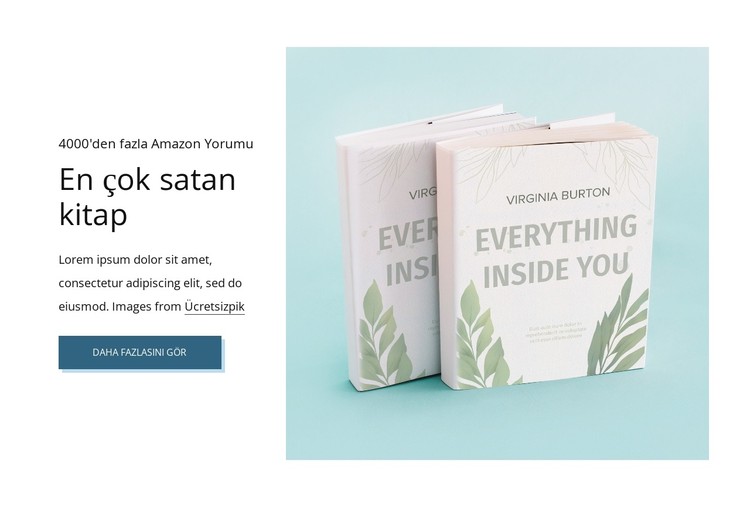 En çok satan kitap CSS Şablonu