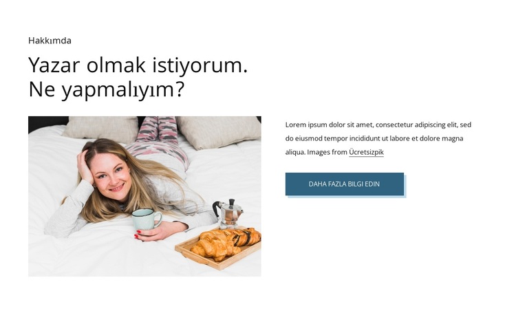 Yazar ve yazar WordPress Teması