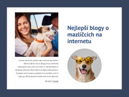 Nejlepší Blogy O Mazlíčcích – Šablona Návrhu Webu