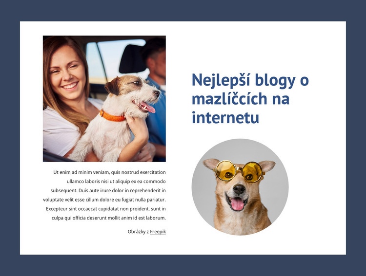 Nejlepší blogy o mazlíčcích Šablona webové stránky