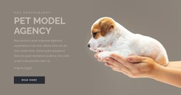 Pet Model Agency Design Template