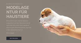 Modelagentur Für Haustiere