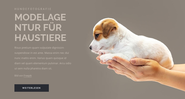 Modelagentur für Haustiere Joomla Vorlage