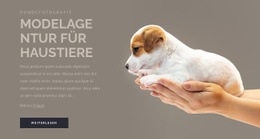 Modelagentur Für Haustiere Tier Haustier