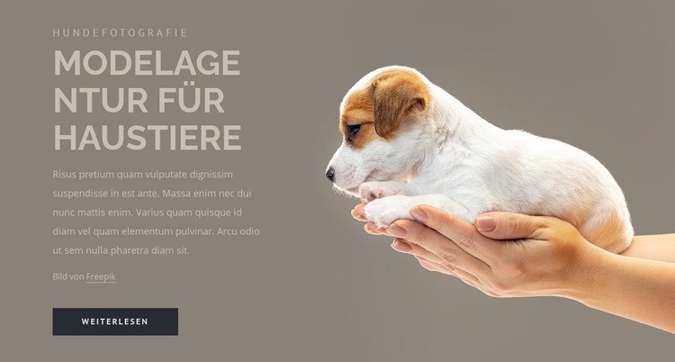 Modelagentur für Haustiere Website-Modell