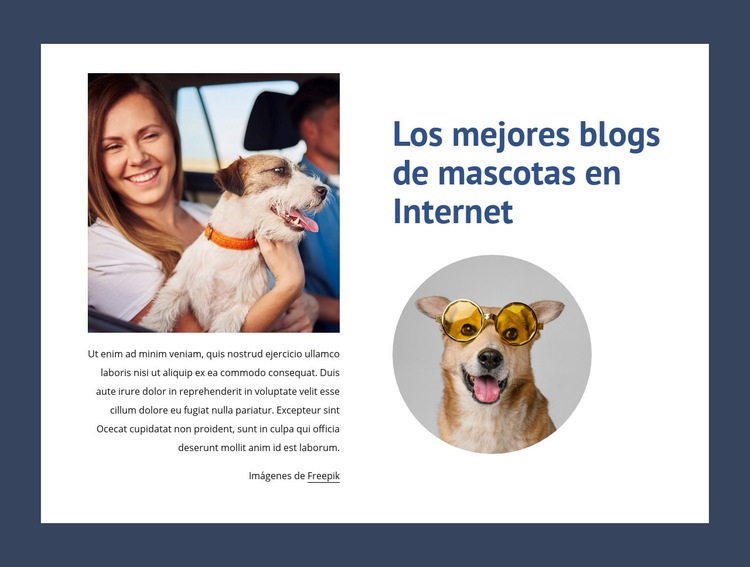 Los mejores blogs de mascotas Maqueta de sitio web