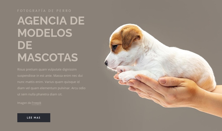 Agencia de modelos de mascotas Página de destino