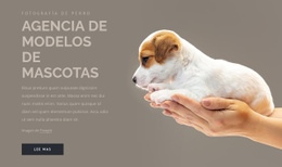 Agencia De Modelos De Mascotas - Plantilla HTML5 De Funcionalidad
