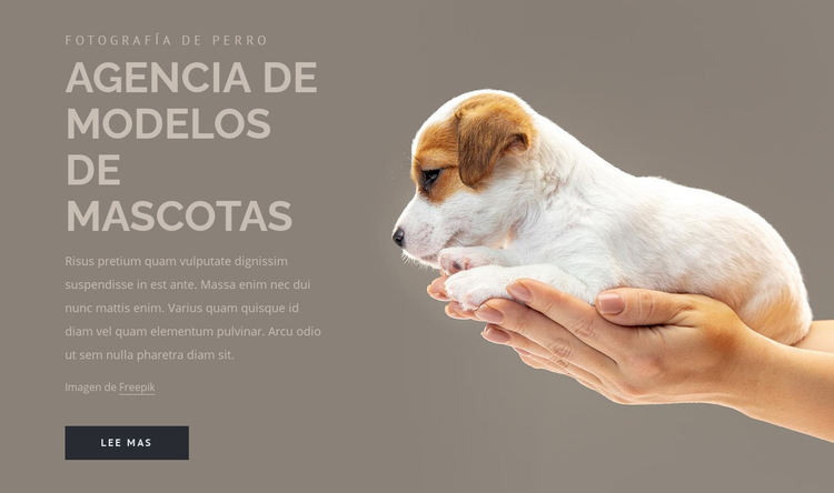 Agencia de modelos de mascotas Plantilla de sitio web