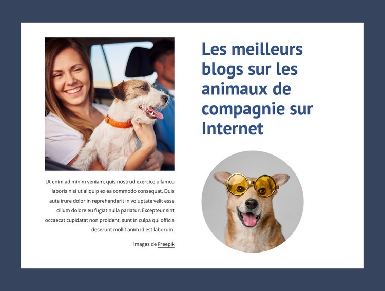 Les meilleurs blogs pour animaux de compagnie Conception de site Web