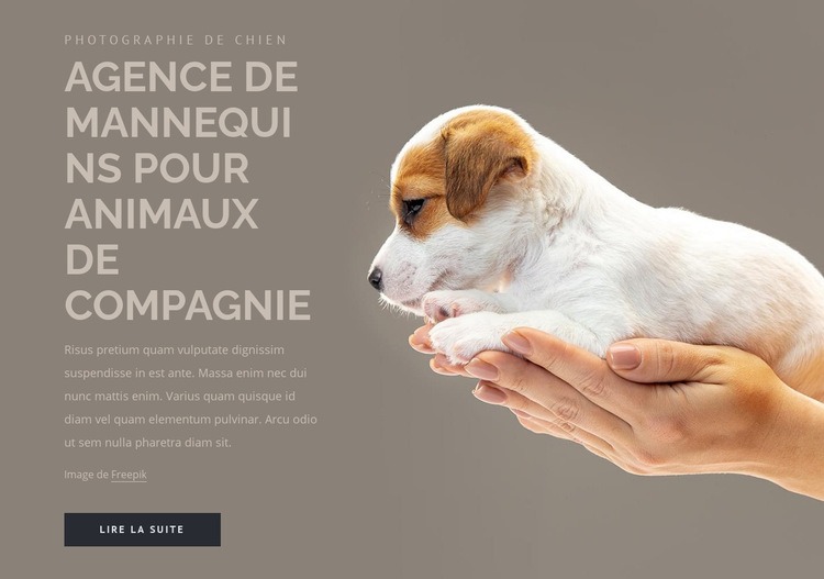 Agence de mannequins pour animaux de compagnie Créateur de site Web HTML
