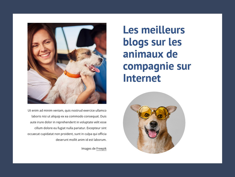 Les meilleurs blogs pour animaux de compagnie Thème WordPress