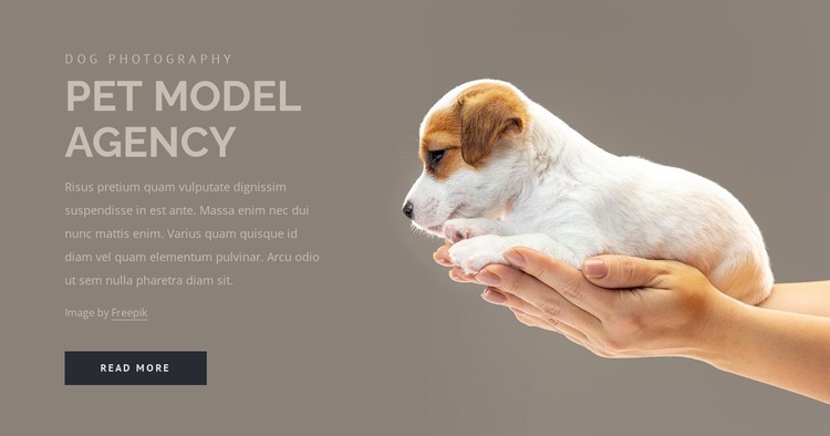 Pet model agency Homepage Design