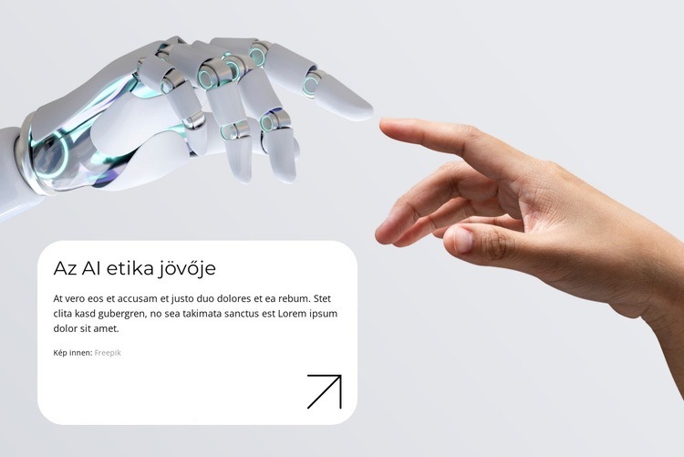 Intelligens Ügynökségi szolgáltatások Sablon