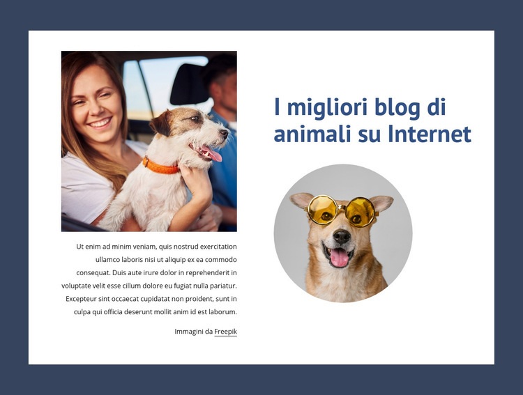 I migliori blog di animali domestici Costruttore di siti web HTML