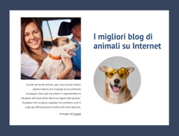 I Migliori Blog Di Animali Domestici - Progettazione Di Siti Web Reattivi